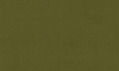 莫代尔绒布S1093-04
