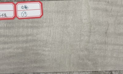 影木亮光
