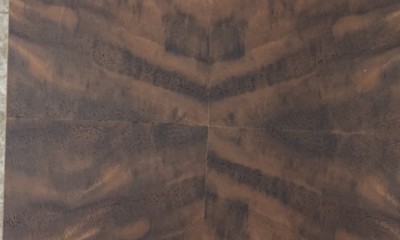 胡桃树瘤浅色亮光
