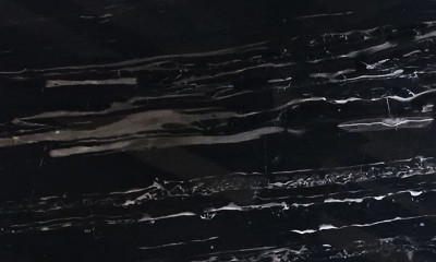银白龙