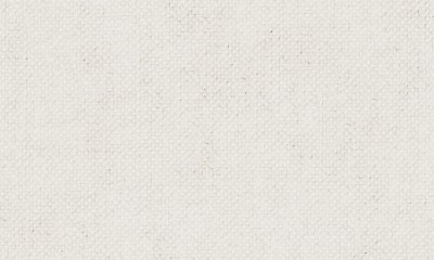 植物纤维混纺VR-25038-01